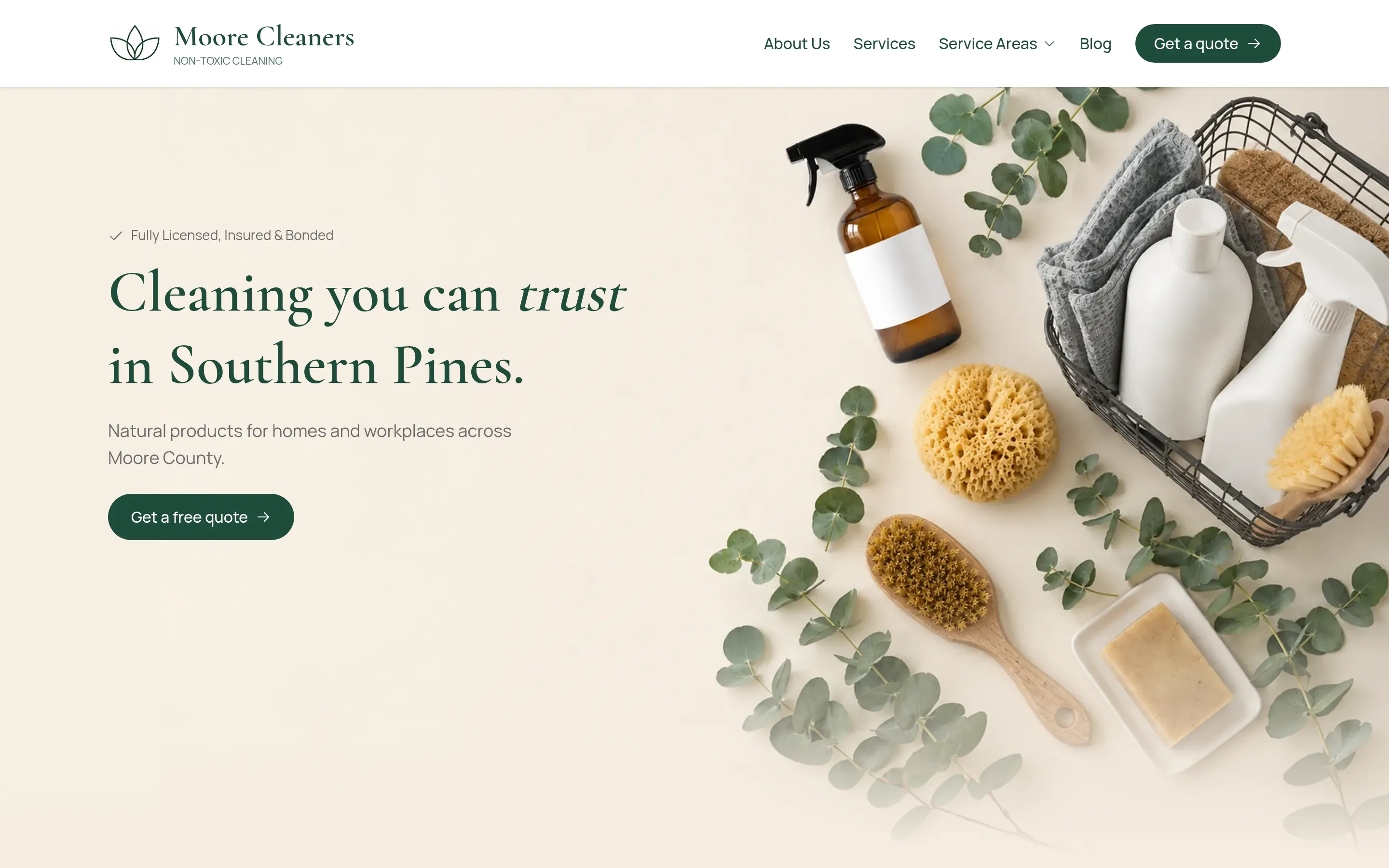 Moore Cleaners website